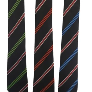 Calday School Tie (in House Colours)